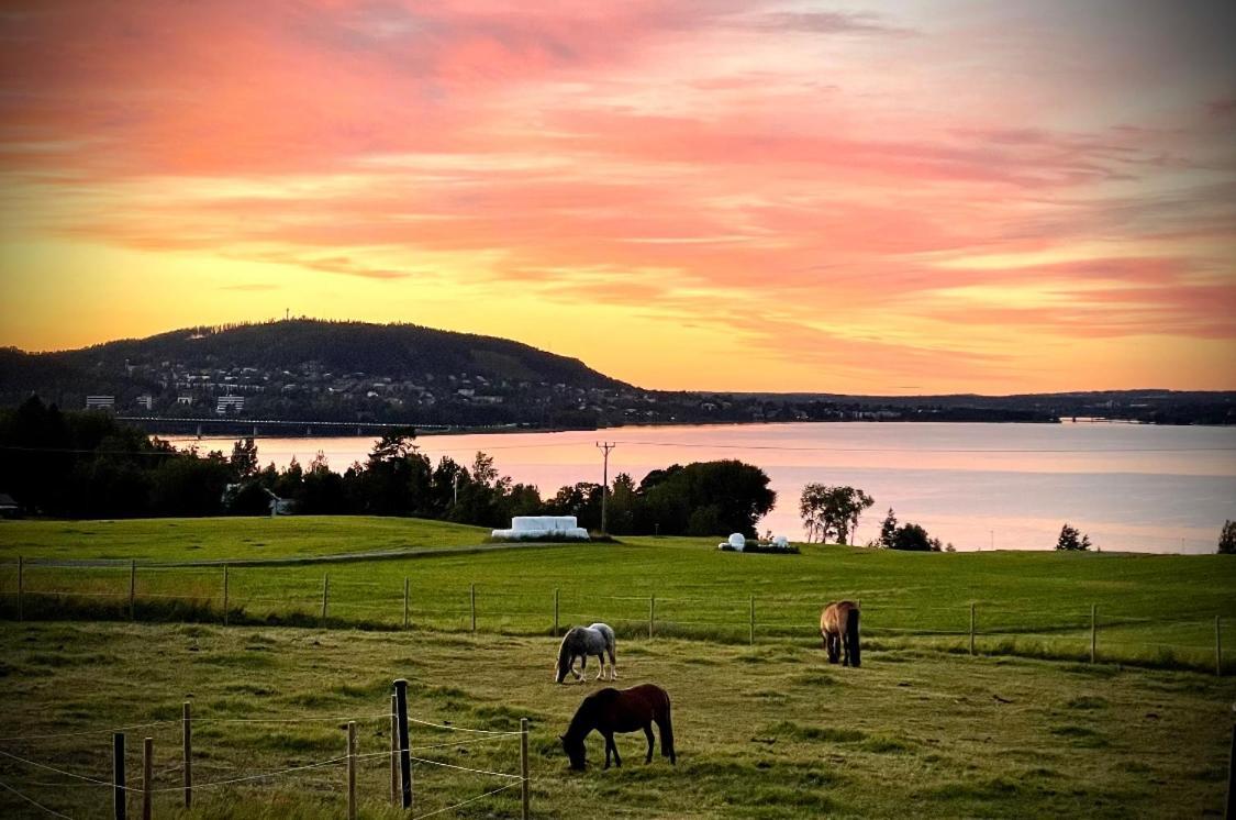Scenic Small Guesthouse On Horse Farm By The Lake Фросо Экстерьер фото