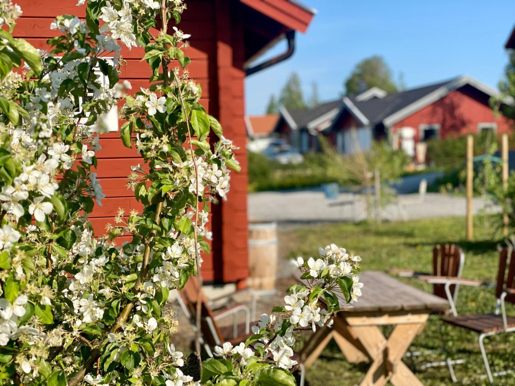 Scenic Small Guesthouse On Horse Farm By The Lake Фросо Экстерьер фото